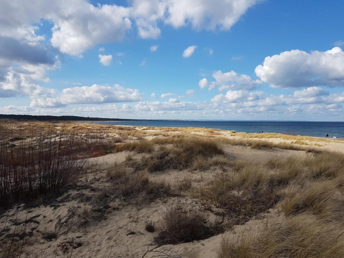 Papaja Caloroczny Apartament Na Wyspie Sobieszewskiej 그단스크 외부 사진